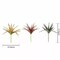 Set of 3 12" tall Assorted Aloe Faux Succulent Picks Sprays Stems Wedding Party